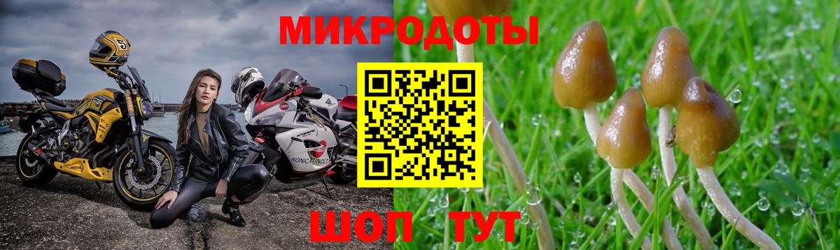 Звенигород  Псилоцибиновые грибы ЛСД  Псилоцибиновые грибы мухоморы  что такое   Вход с VPN 