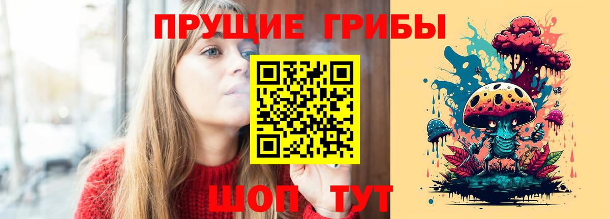Псилоцибиновые грибы Cubensis Звенигород